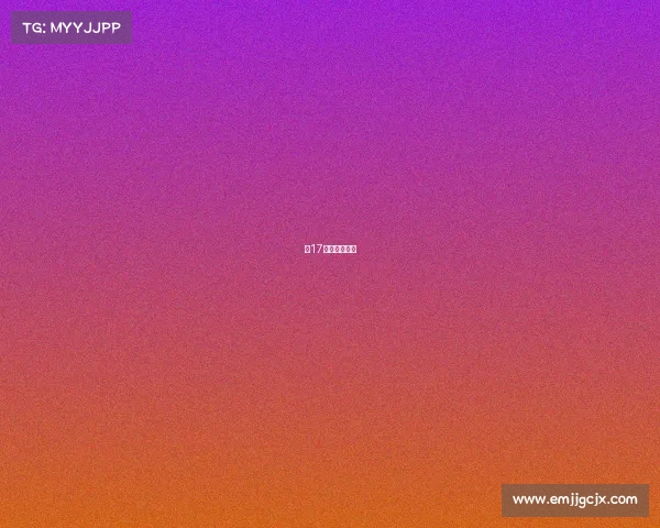 第17届中国新闻奖